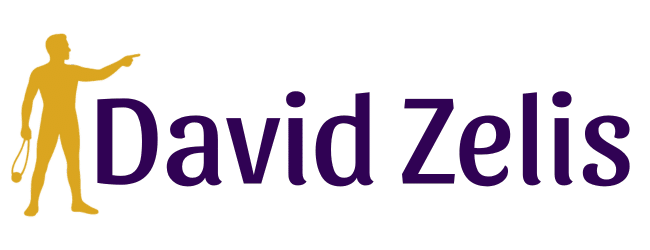 David Zelis Logo David Zelis Logo
